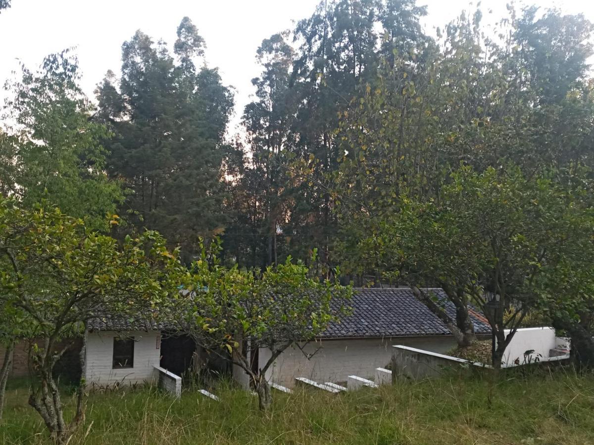 Villa Quinta Los Eucaliptos Quito Exterior foto